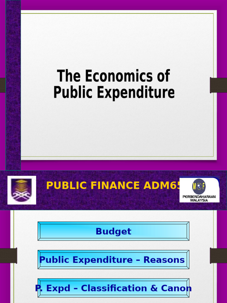 EFFICIENCY IN GOVERNMENT EXPENDITURE | PDF | Government Spending ...