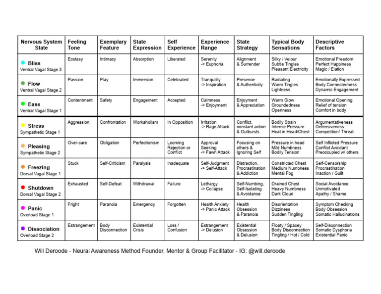 Nervous System MetaMap Chart | PDF | Behavioural Sciences | Psychology