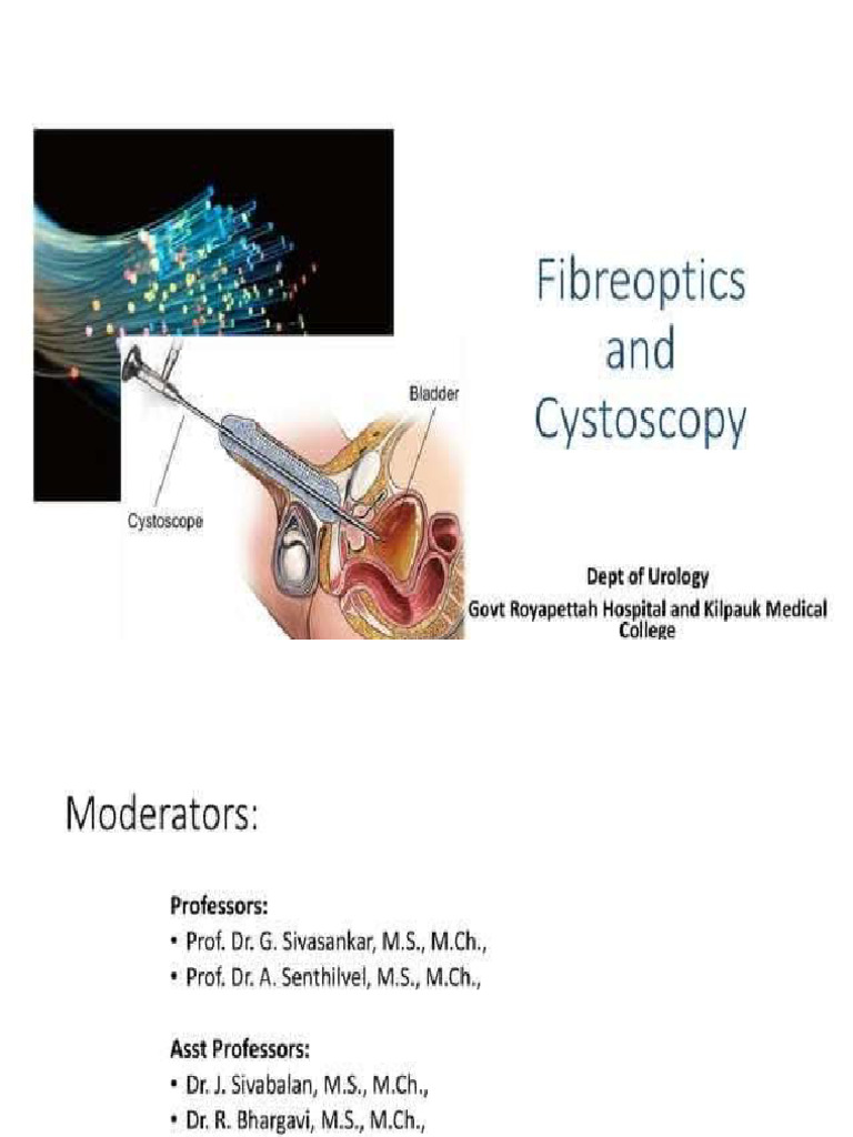 Uro Instruments - Cystoscopy & Fibreoptics | PDF