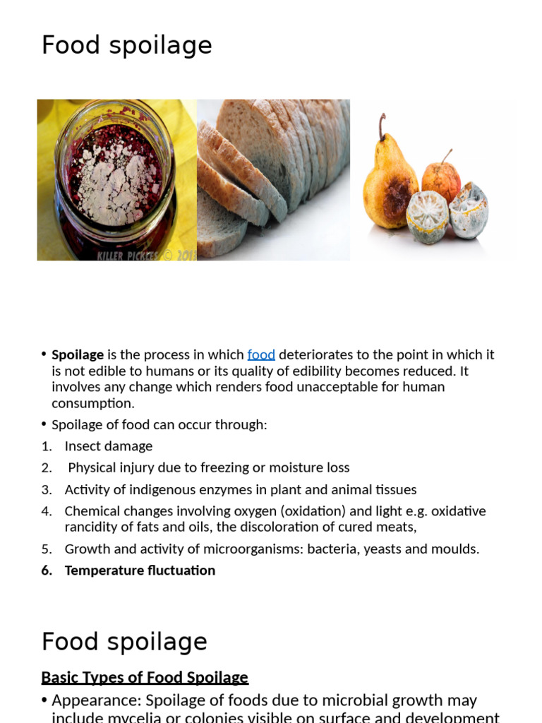 Understanding Food Spoilage Causes | PDF | Mold | Decomposition