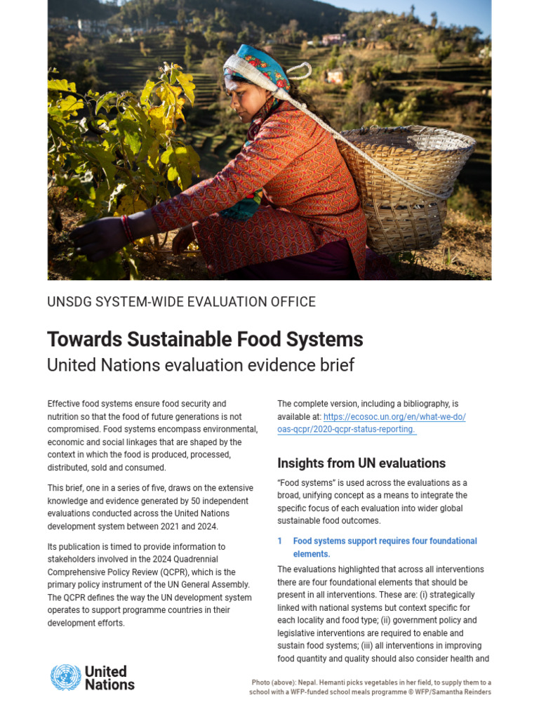 UNSWE - Evaluation Evidence Brief - Food Systems - Oct24 | PDF ...