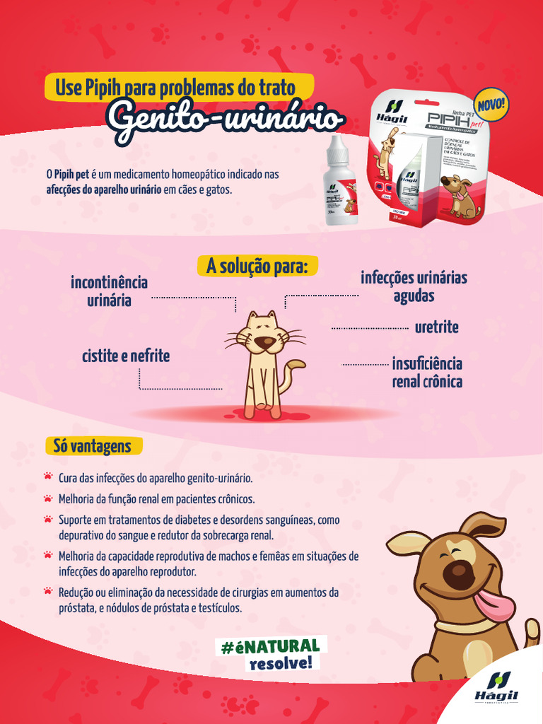 Informativo Pipih | PDF