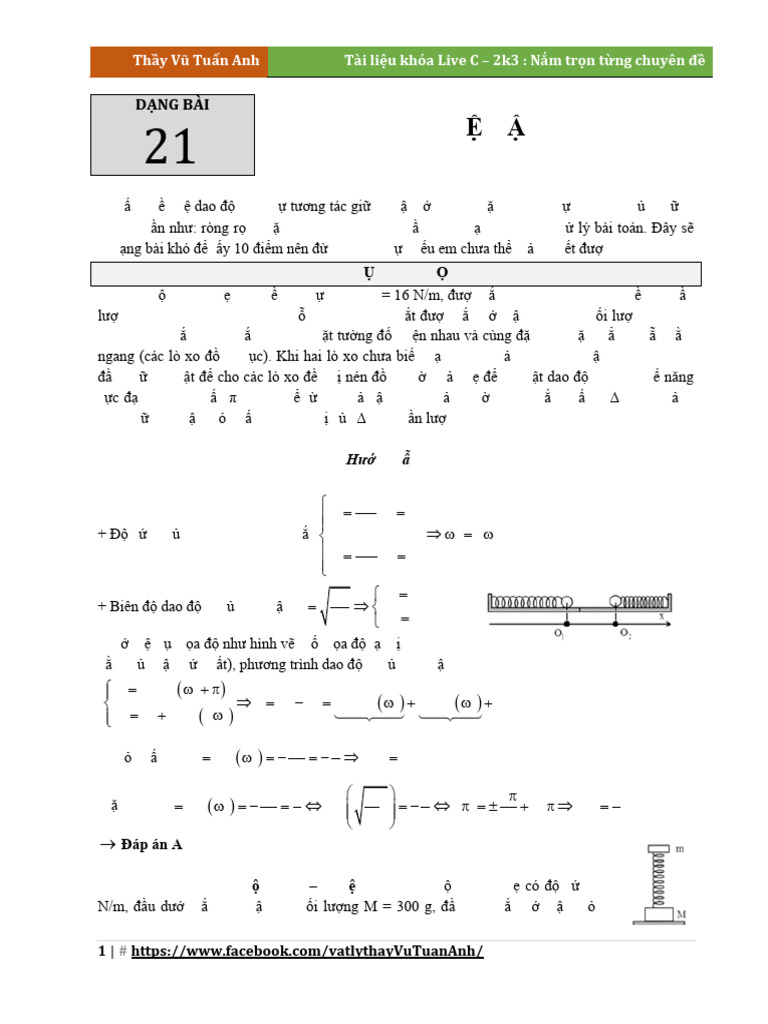 Thay Vu Tuan Anh. Dang 21. He Vat | PDF
