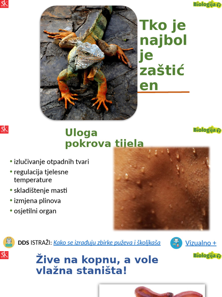 Tko Je Najbolje Zasticen BIOLOGIJA 7 | PDF