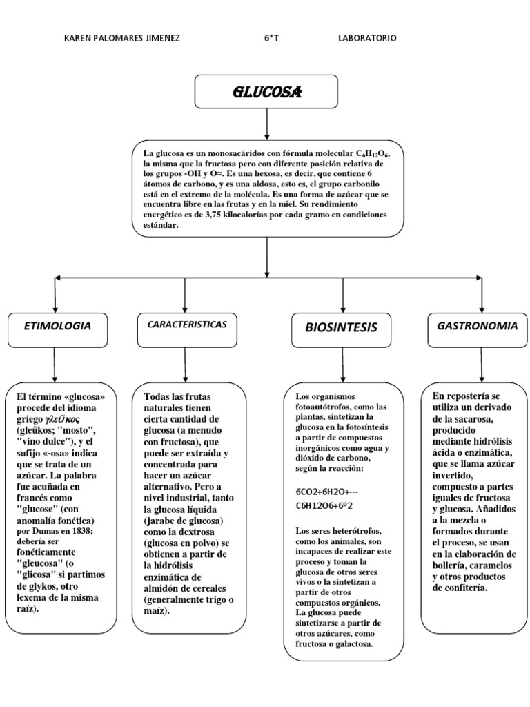 Mapa Conceptual Glucosa