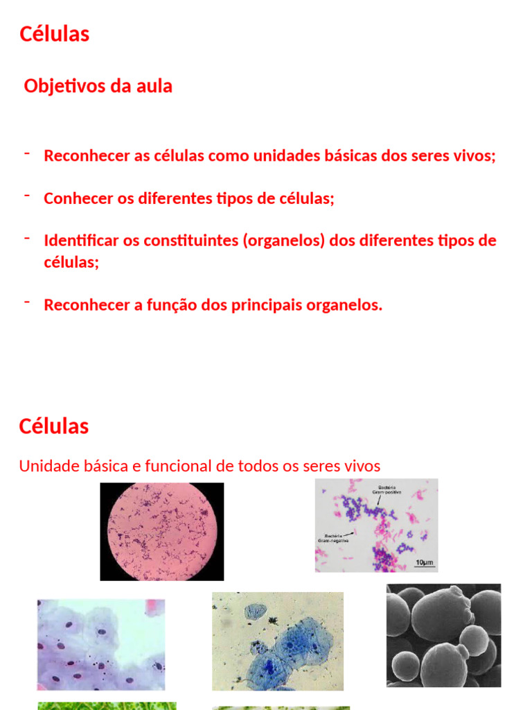 Tipos e Estruturas das Células | PDF