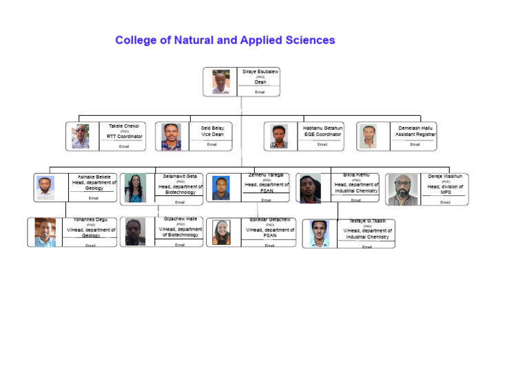 Faculty and Department Heads List | PDF