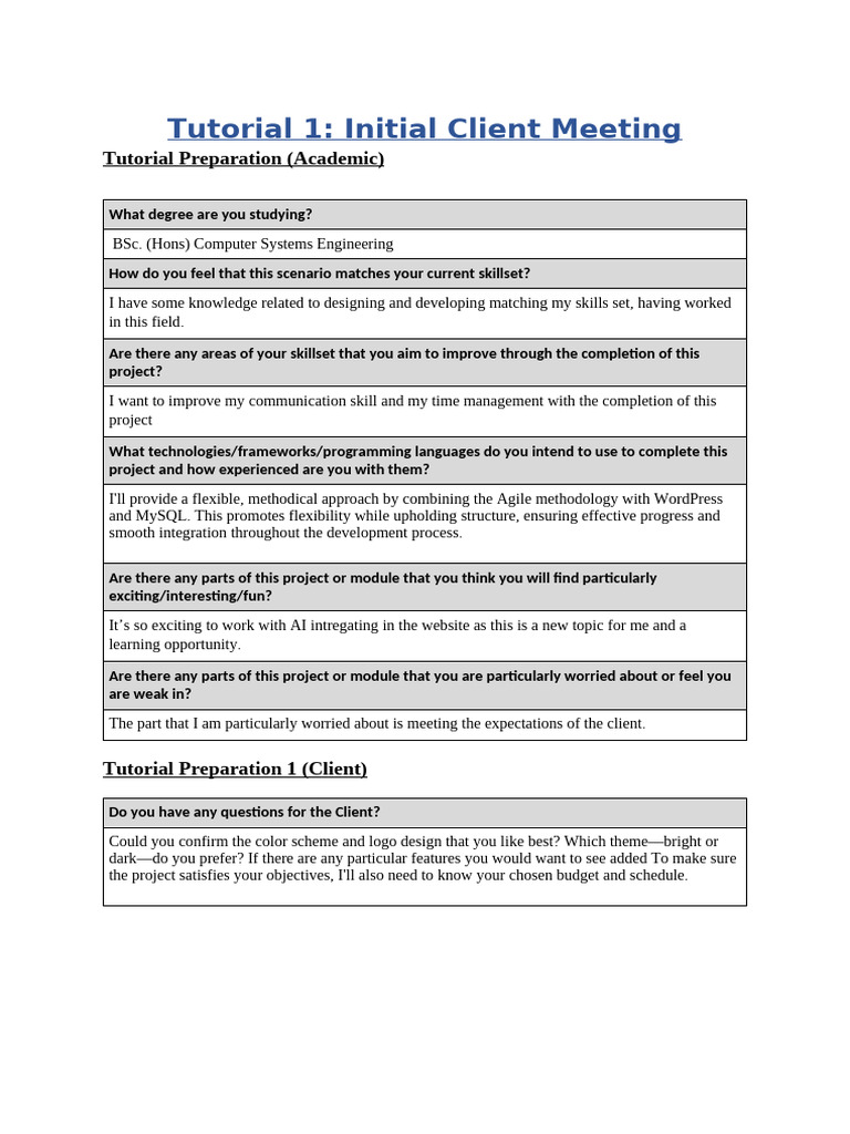 Initial Client Meeting Summary | PDF | Information Technology | Computing