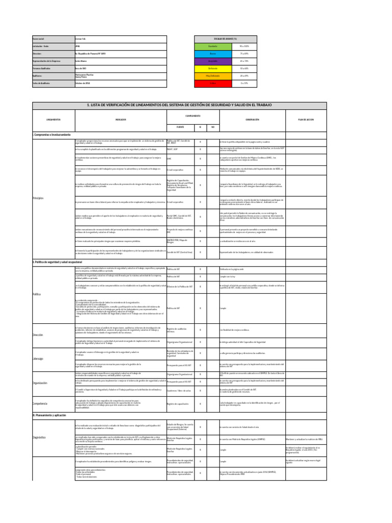 Auditoría de Seguridad y Salud en Enersur | PDF | Seguridad y salud ...