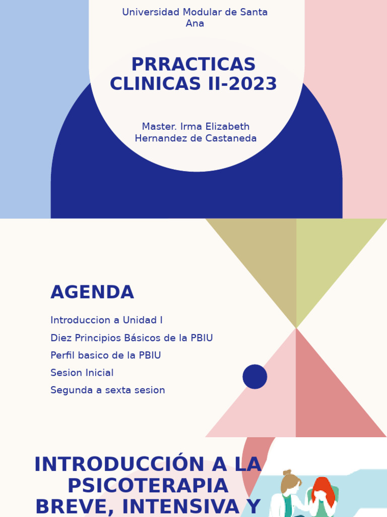 1.diez Principios Basicos de PBIU | PDF | Psicoterapia | Terapia