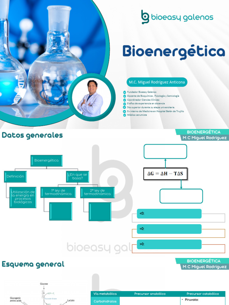 Bioenergética y Metabolismo Celular | PDF | Cadena de transporte de ...