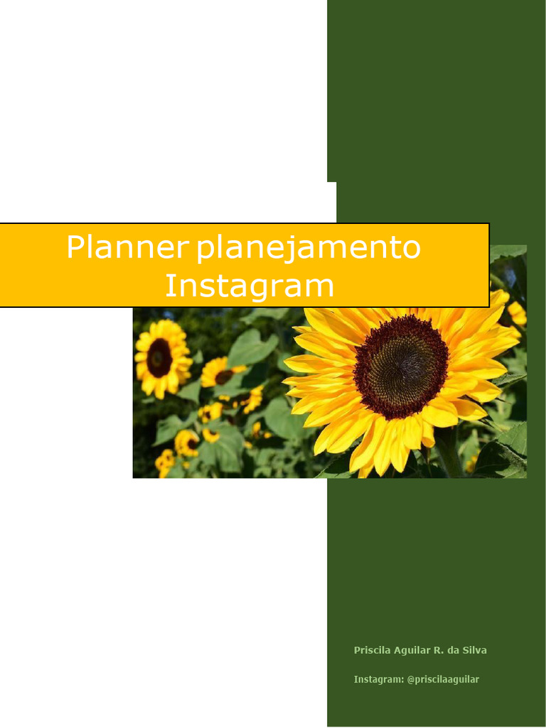 Planner+Para+Instagram+2023 | PDF | Rede social | Eventos climáticos