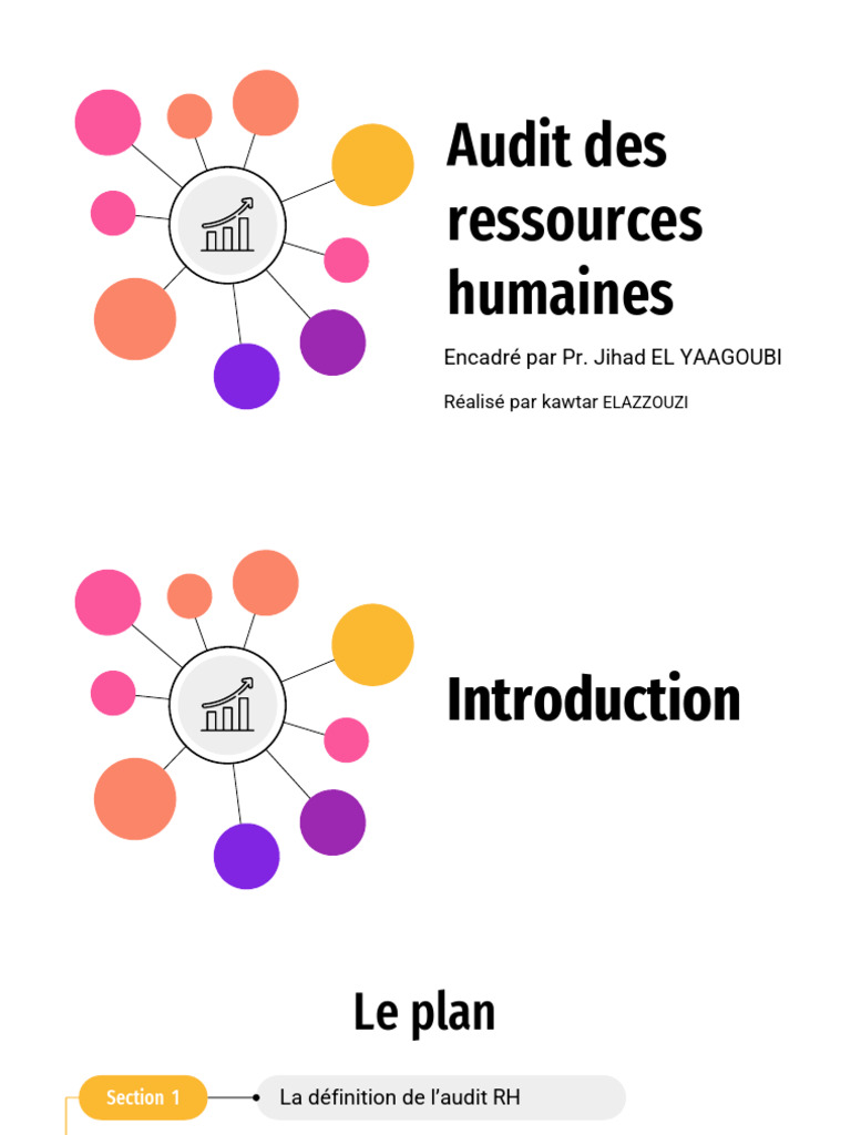 Audit des Ressources Humaines : Définition et Objectifs | PDF