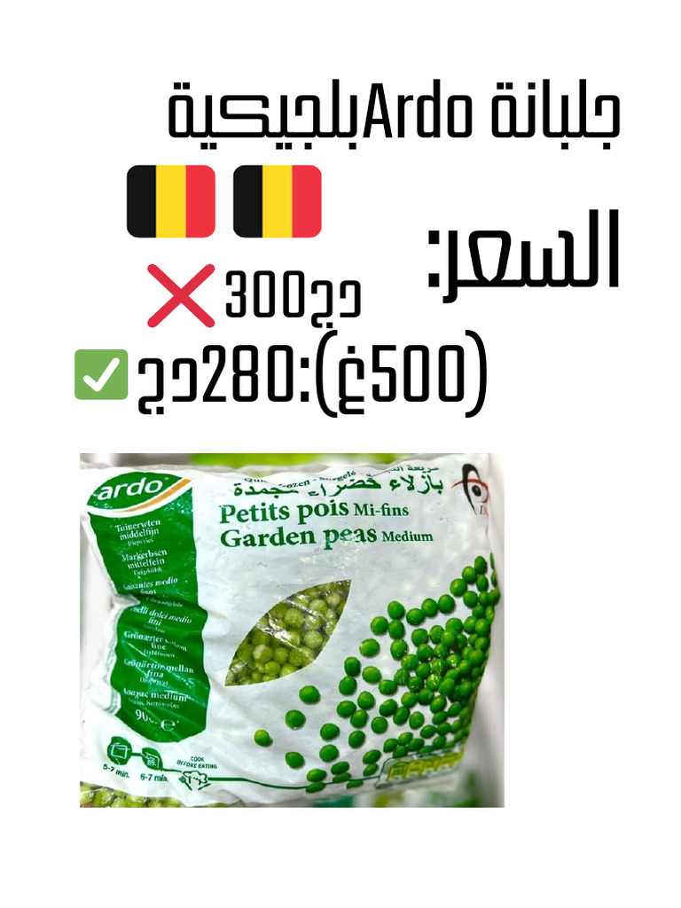 ardo-20250227-193029-0000-pdf