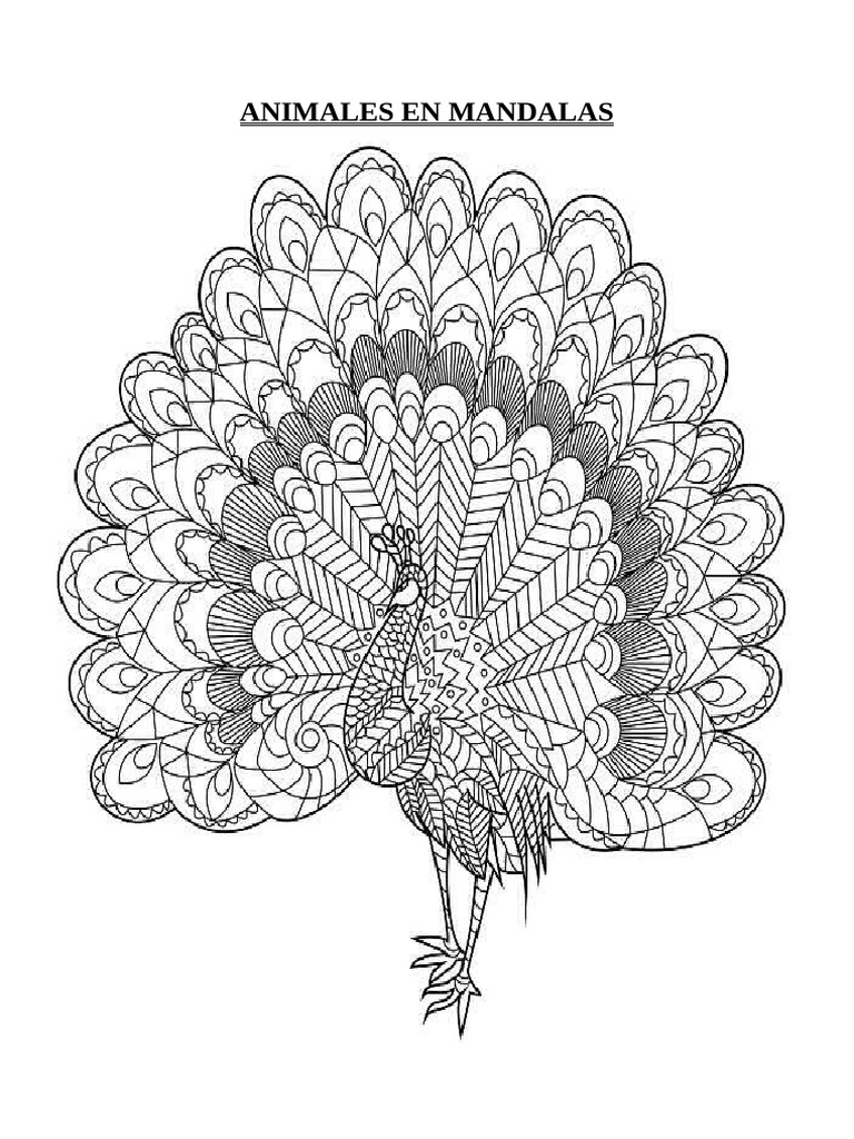 Animales En Mandalas Pdf