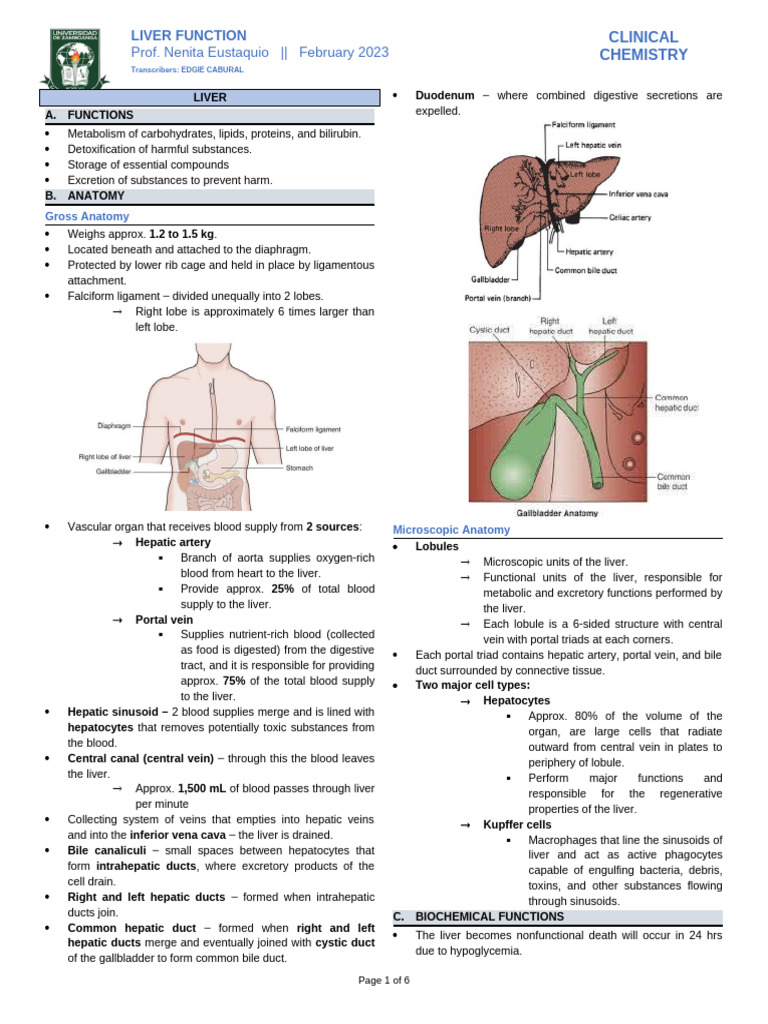 CC2 - Liver Function - Not Done | PDF | Liver | Cirrhosis