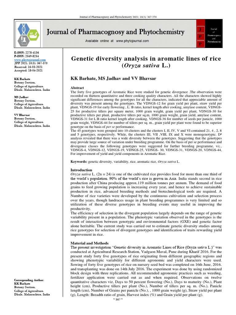 Genetic Diversity in Aromatic Rice | PDF | Plant Breeding | Rice