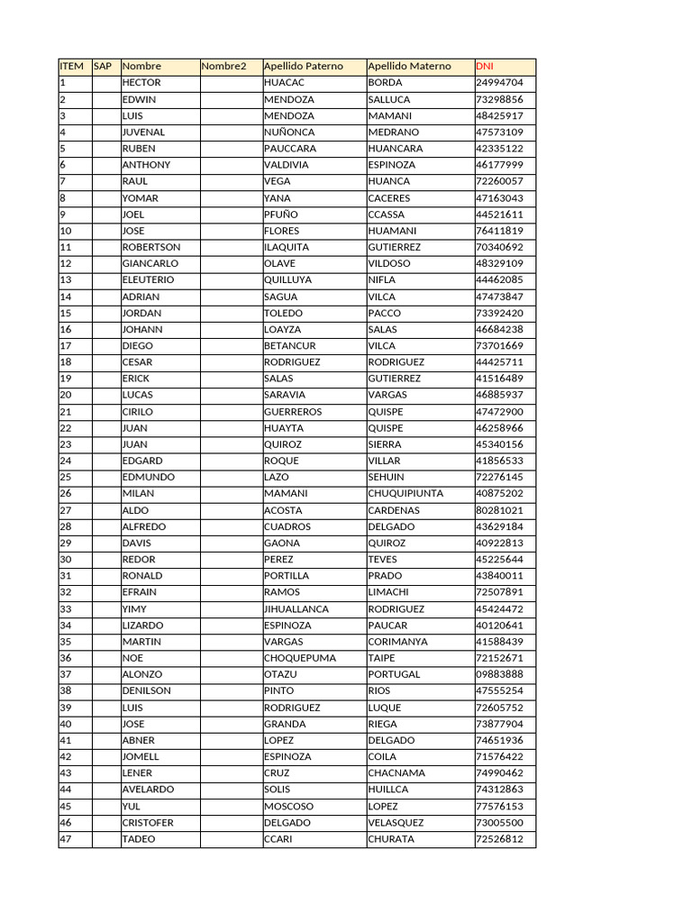 SAP User Data List | PDF | Peru