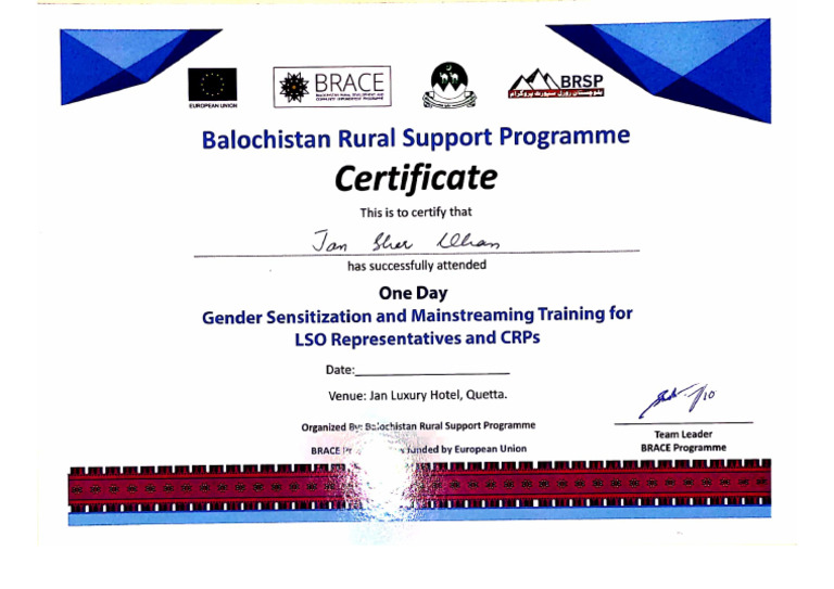 BRSP gender sensitization certificate | PDF