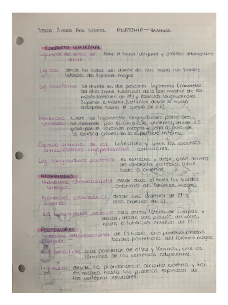 Lig Vertebrales - Yescas - Victoria | PDF