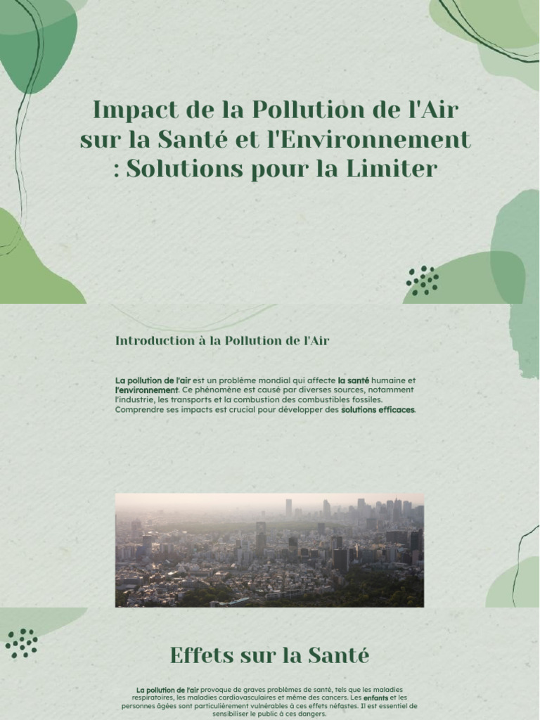 Pollution de l'Air : Impact et Solutions | PDF