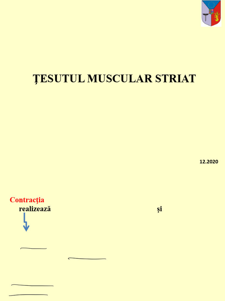 LP11 Tesutul Muscular Striat Scheletal | PDF