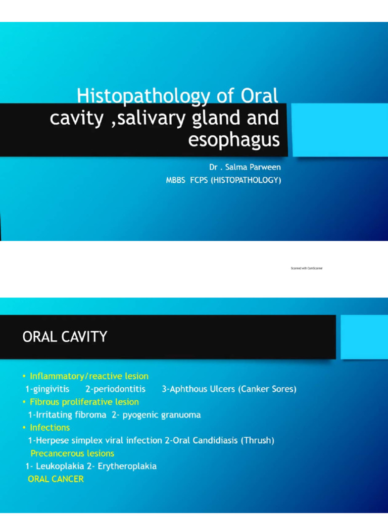 Histopathology of Oral Cavity, Salivary Glands and Esophagus | PDF