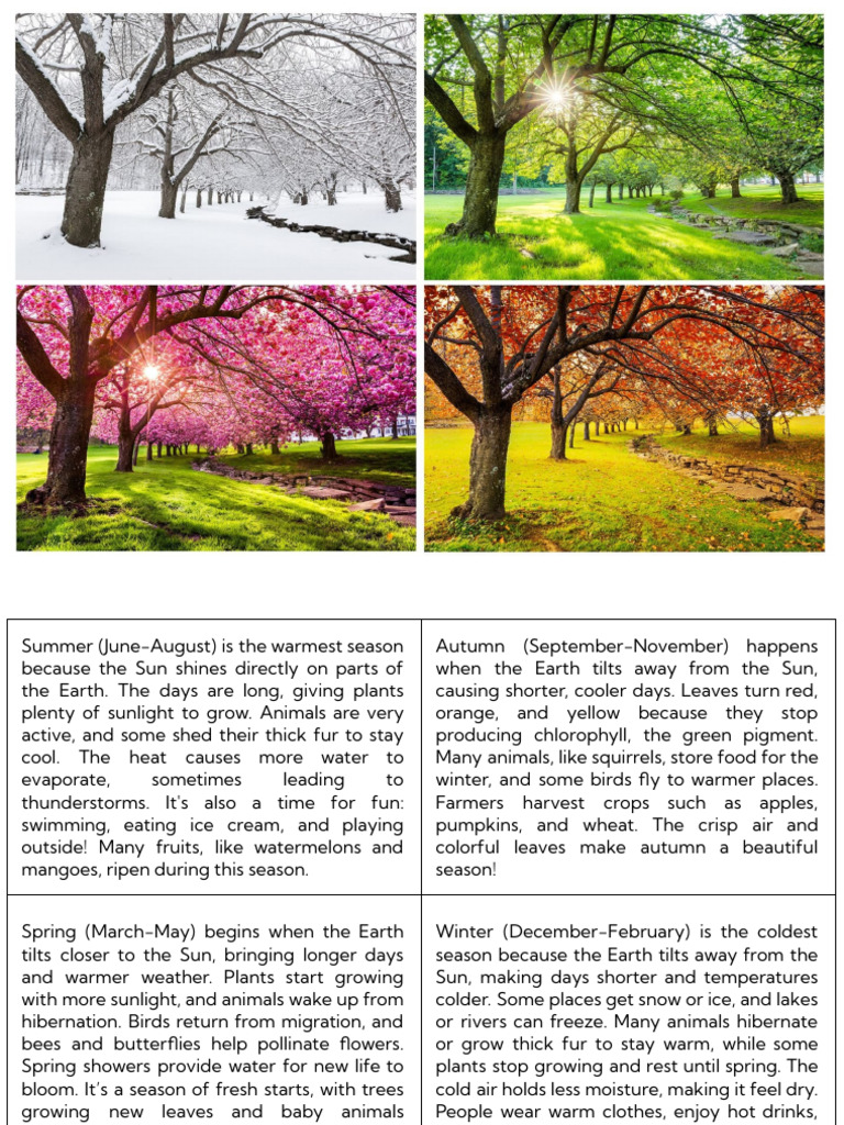 Seasons Card | PDF