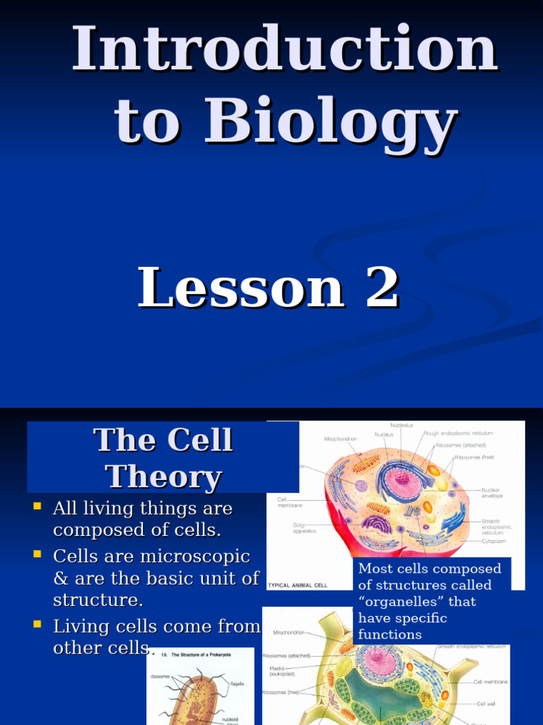 Biology: Cell Structure and Genetics | PDF | Meiosis | Dominance (Genetics)