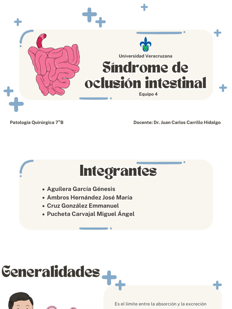 Equipo 4 - Síndrome de Oclusión Intestinal 7°B PDF | PDF ...