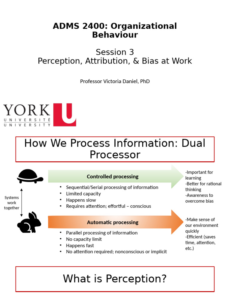 ADMS 2400 OB - Session 3 - Eclass | PDF | Bias | Perception