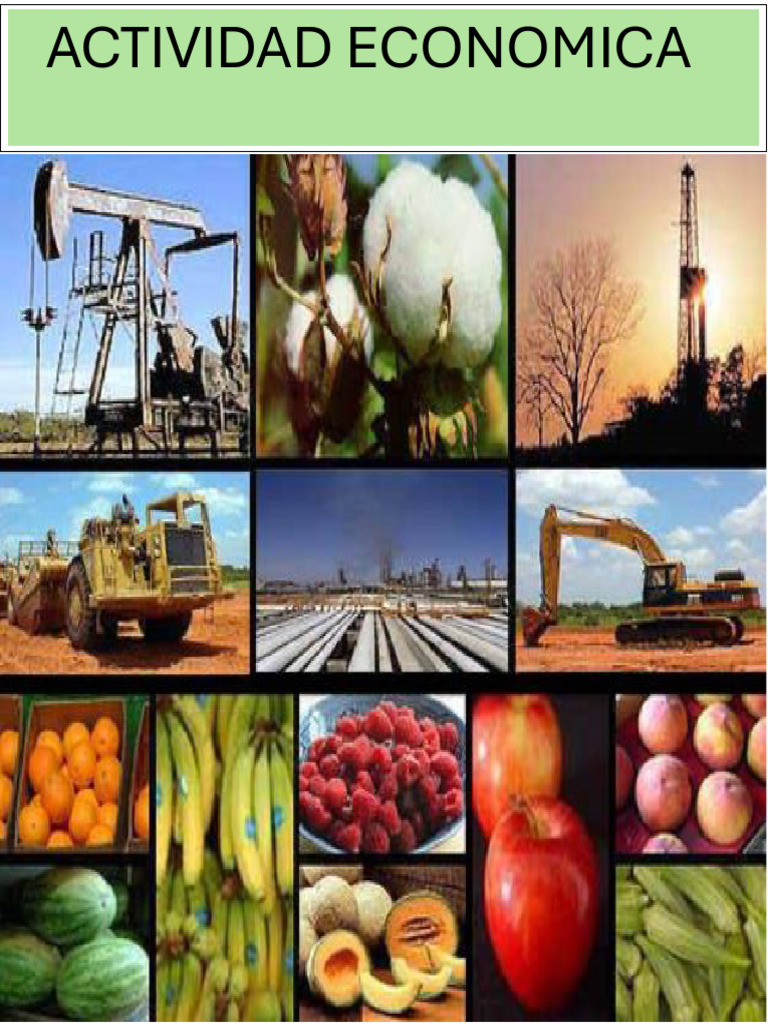 Actividades Económicas | PDF | Economias | Agricultura