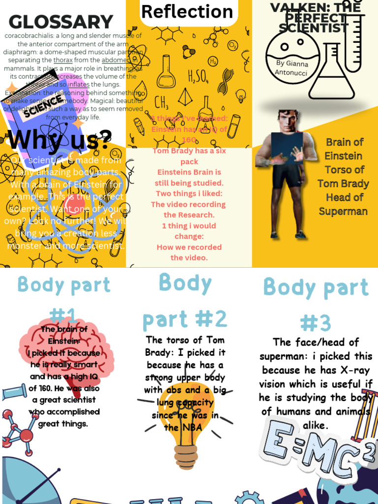 Brochure on the Perfect Scientist | PDF