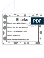 Shark Info