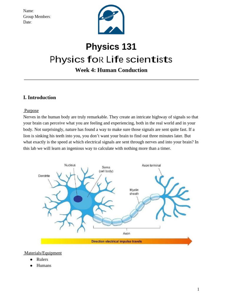 Conduction | PDF | Chemical Synapse | Action Potential