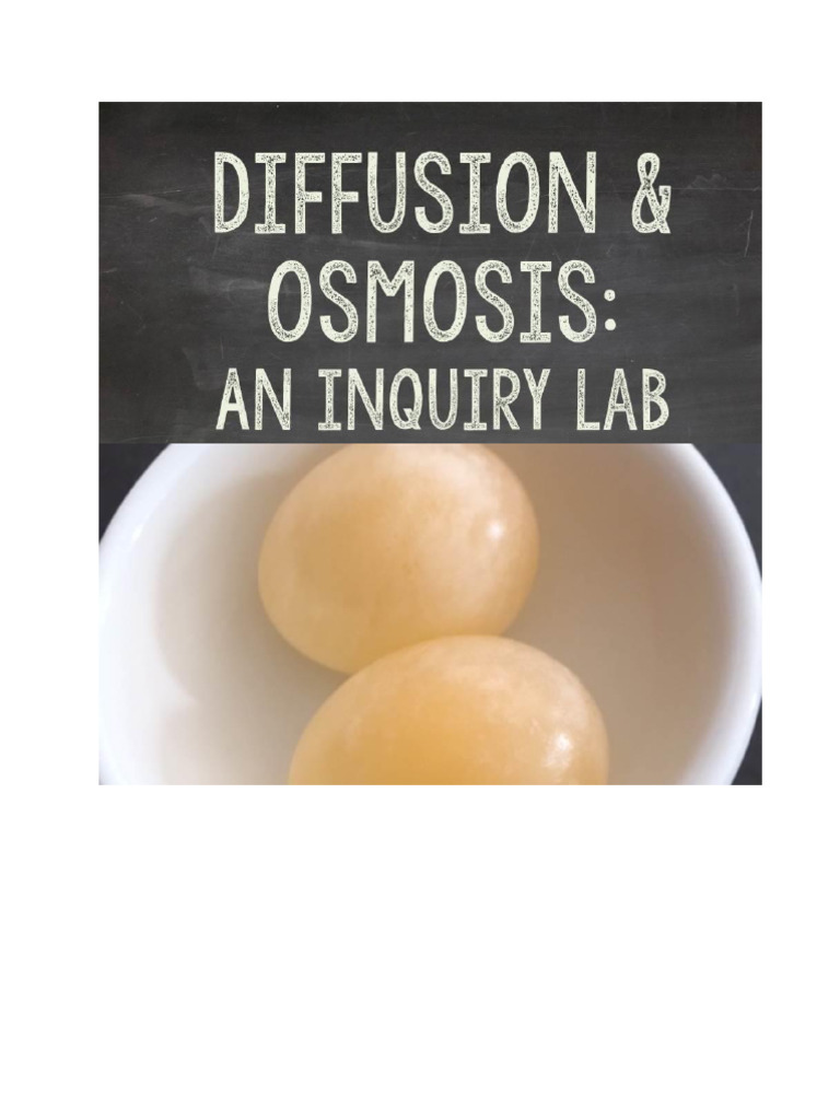 Diffusion and Osmosis Lab Guide | PDF | Osmosis | Cell Biology