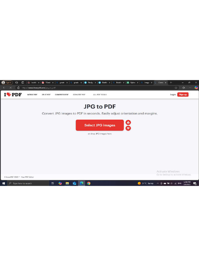 Screenshot | PDF