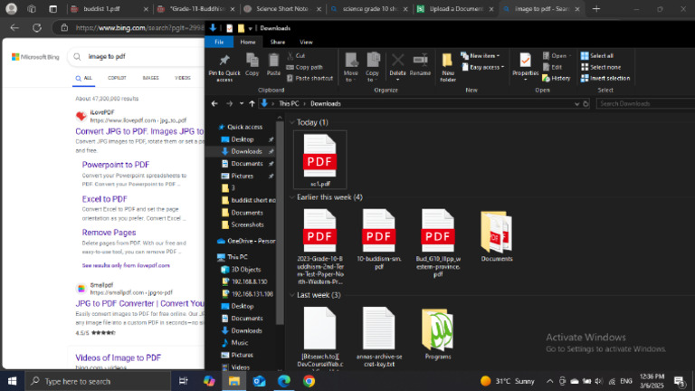 Screenshot | PDF