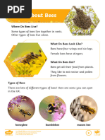 Early Game Progression in BSS Guide | PDF | Bees | Beehive