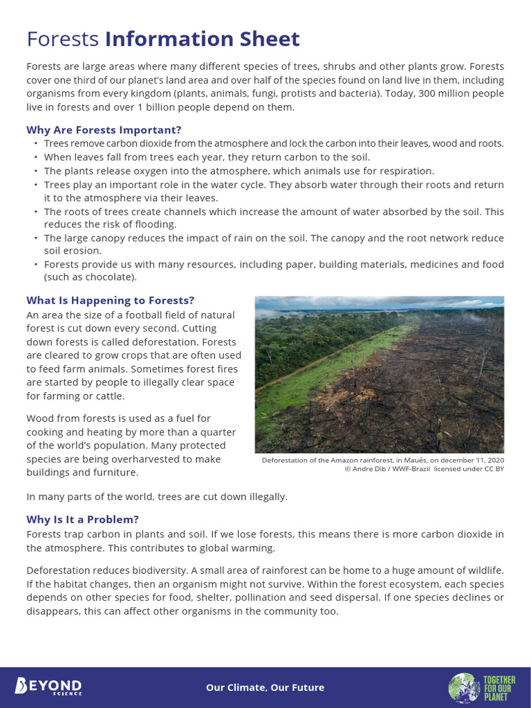 Forests+Information+Sheet | PDF | Forests | Deforestation