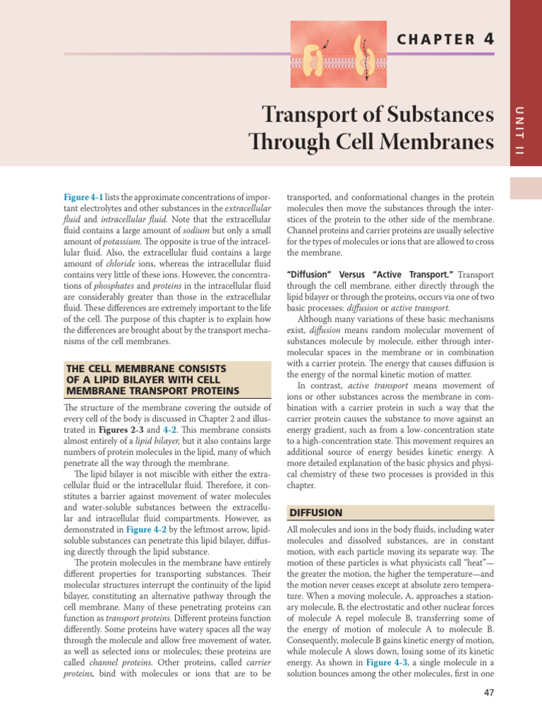 Cell Membrane Transport Mechanisms | PDF | Ion Channel | Cell Membrane