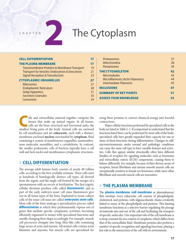 Split 6299481943179396754 | PDF | Cell Membrane | Cell Signaling