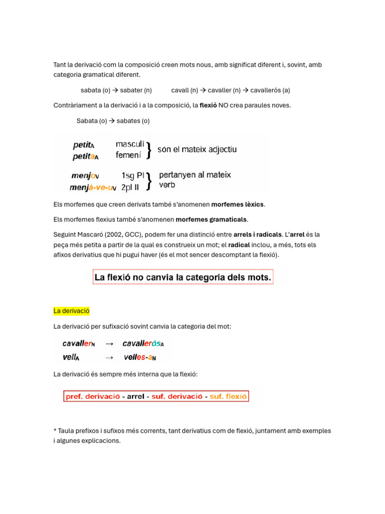 Apunts Tema 4 Gramàtica Catalana PDF | PDF