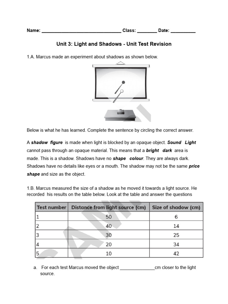 Light and Shadows Unit Test Revision | PDF