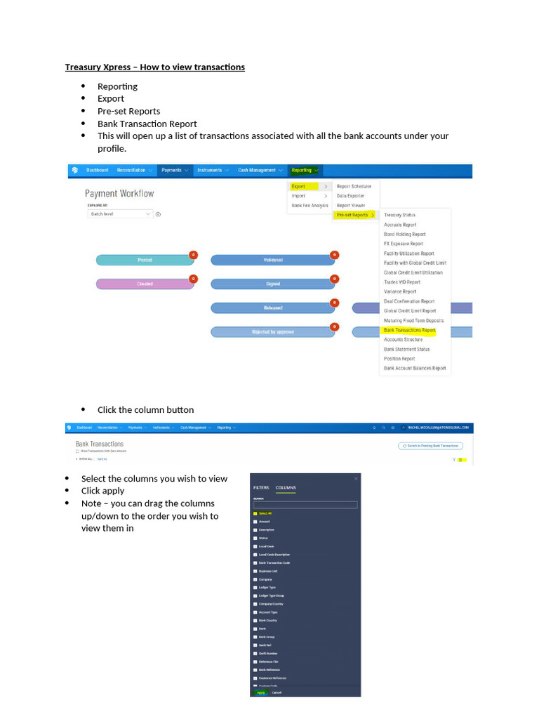 TX - How To View Balances Transactions | PDF