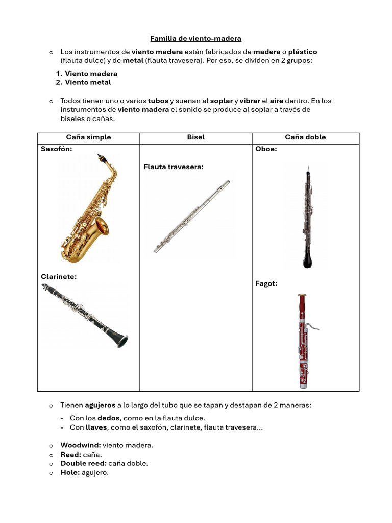 Instrumentos de Viento Madera y Bisel | PDF