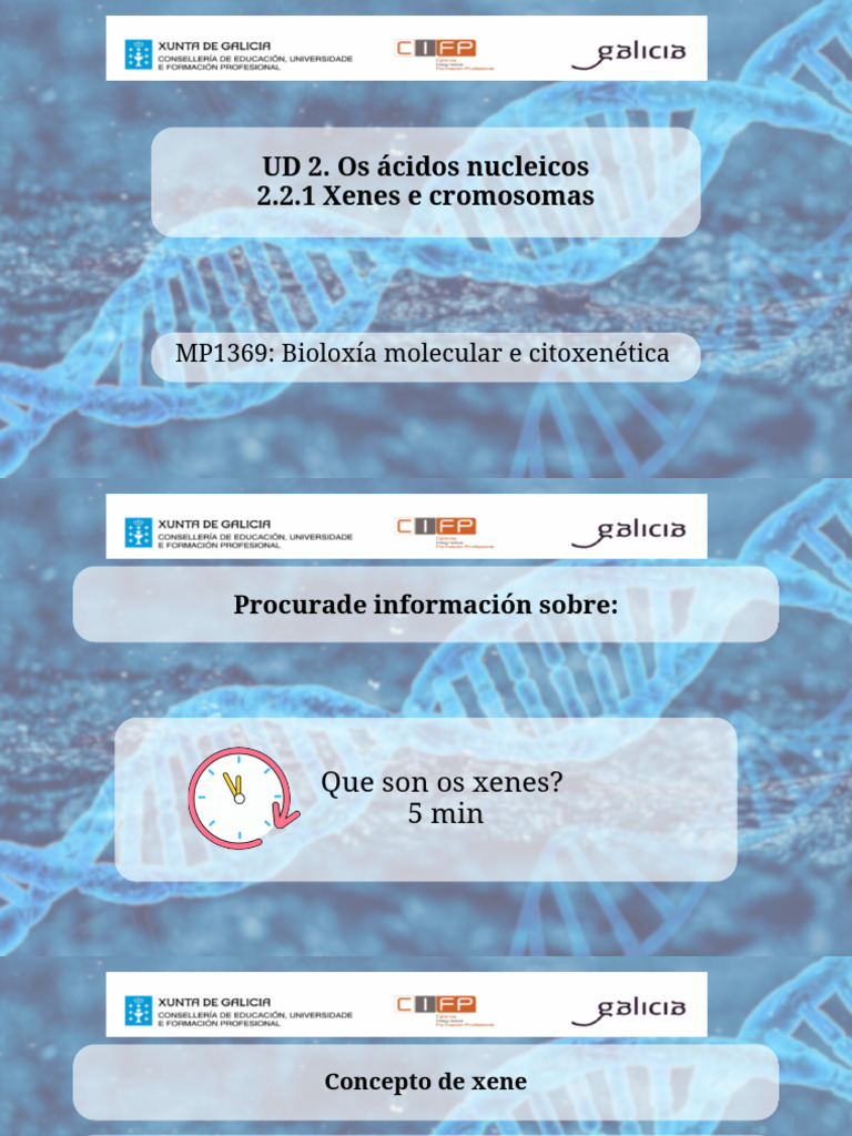2.2.1 Xenes e cromosomas BM | PDF
