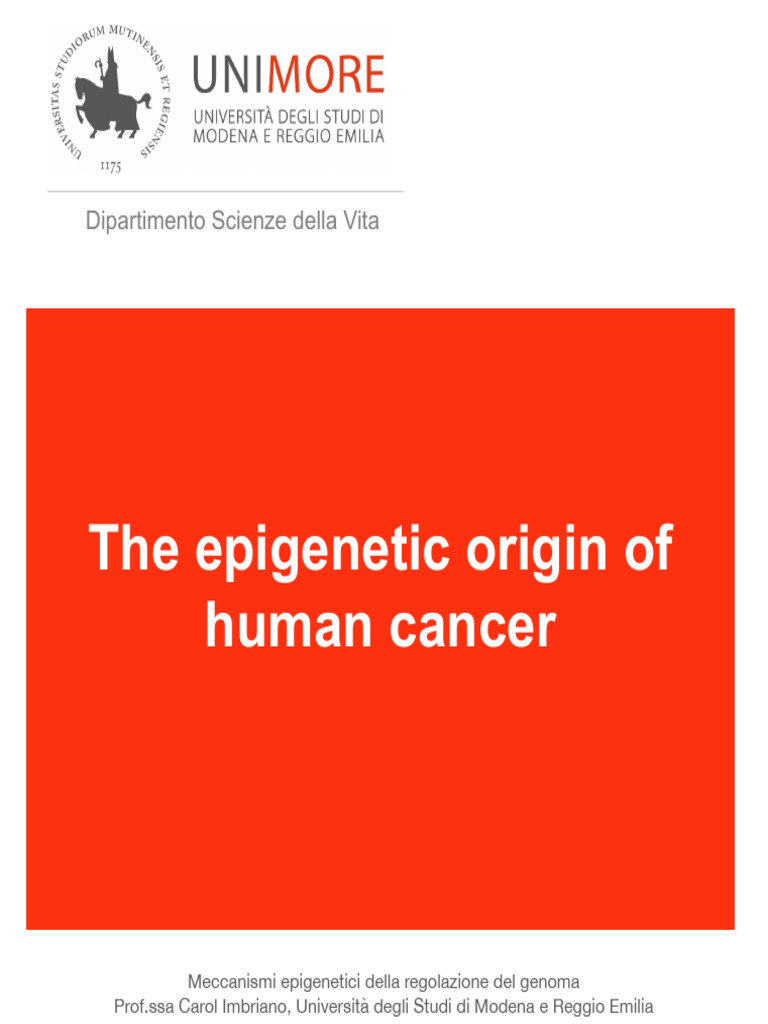 Epigenetic Mechanisms in Cancer Regulation | PDF | Dna Methylation ...
