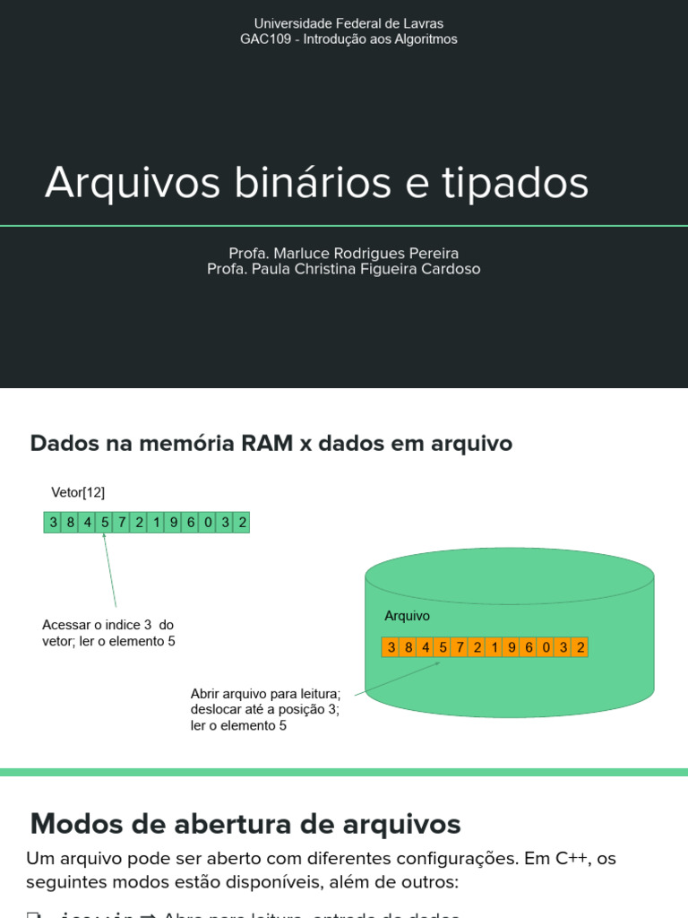 Modos de Abertura e Manipulação de Arquivos Binários em C++ | PDF ...