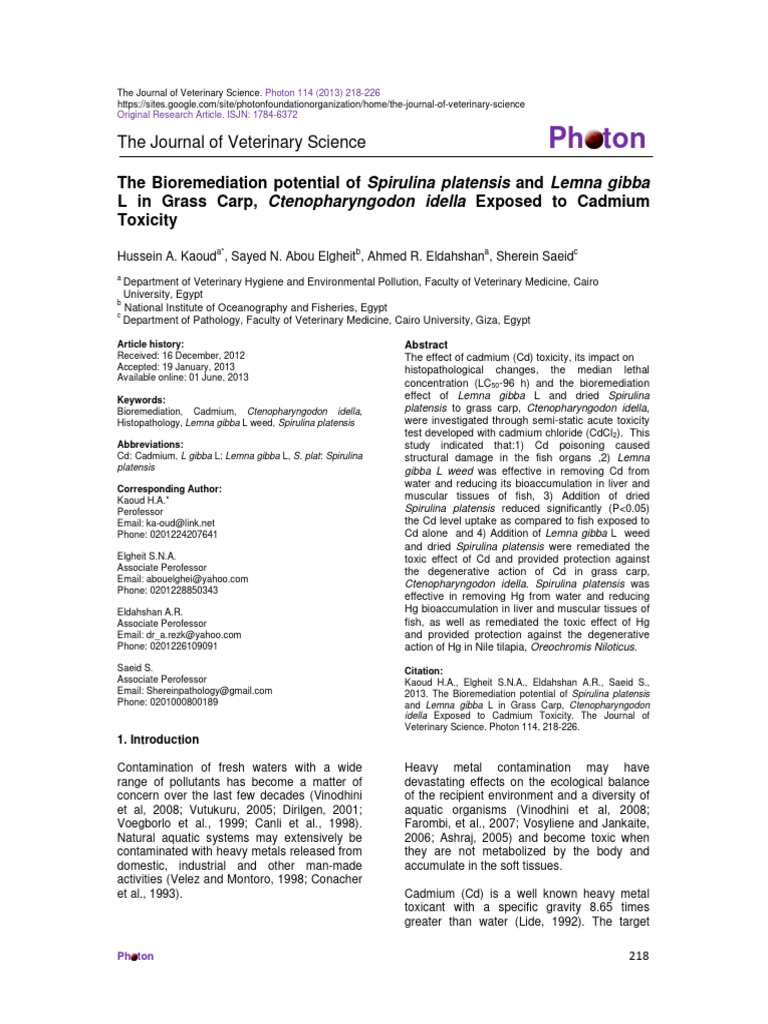 Bioremediation of Cadmium in Fish | PDF | Environmental Science | Pollution